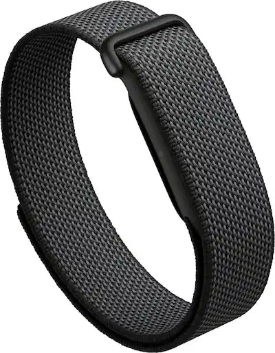 Google fitbit air