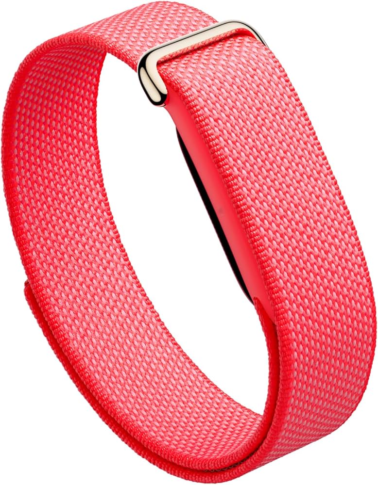 Google fitbit air